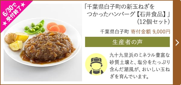 ★6/30で受付終了★「千葉県白子町の新玉ねぎをつかったハンバーグ【石井食品】」(12個セット)/千葉県白子町（寄付金額 9,000円）