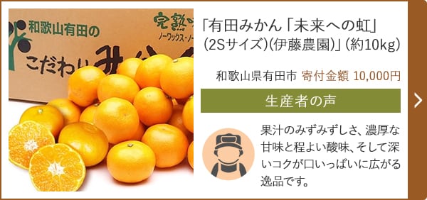 「有田みかん「未来への虹」(2Sサイズ)(伊藤農園)」(約10kg)/和歌山県有田市 寄付金額 10,000円
