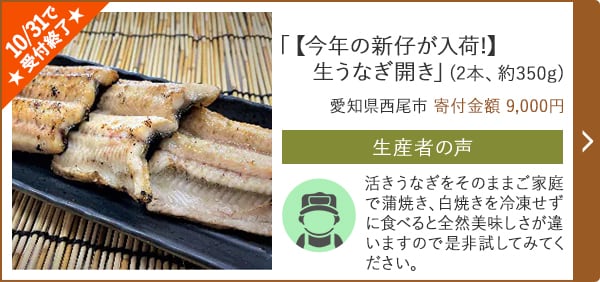 ★10/31で受付終了★「【今年の新仔が入荷!】生うなぎ開き」(2本、約350g)/愛知県西尾市（寄付金額 9,000円）