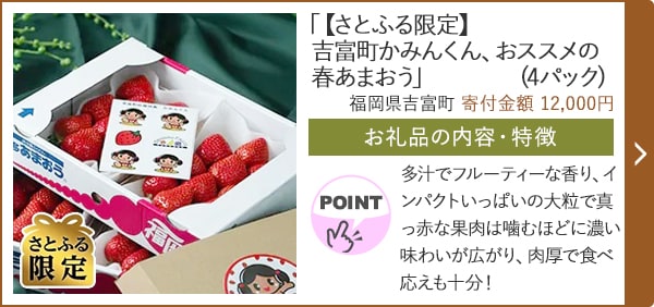 「【さとふる限定】吉富町かみんくん、おススメの春あまおう」(4パック)/福岡県吉富町（寄付金額 12,000円）