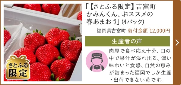 「【さとふる限定】吉富町かみんくん、おススメの春あまおう」(4パック)/福岡県吉富町 寄付金額 12,000円