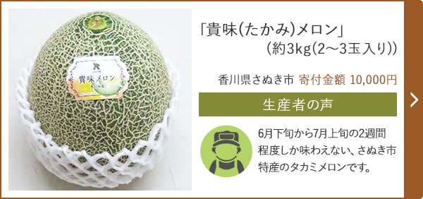 「貴味(たかみ)メロン」(約3kg(2～3玉入り)) 香川県さぬき市 寄付金額  10,000円