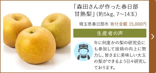 「森田さんが作った春日部甘熟梨」(約5kg、7～14玉)/埼玉県春日部市 寄付金額 15,000円