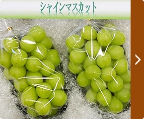 「【先行受付】数量限定 Domaine MARUTA～シャインマスカット～」(2～4房、約1.0kg)