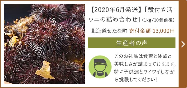 【2020年6月発送】「殻付き活ウニの詰め合わせ」(1kg/10個前後) 北海道せたな町 寄付金額 13,000円