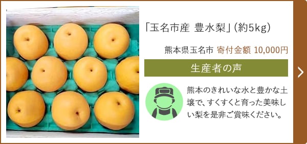 「玉名市産 豊水梨」(約5kg)/熊本県玉名市 寄付金額 10,000円