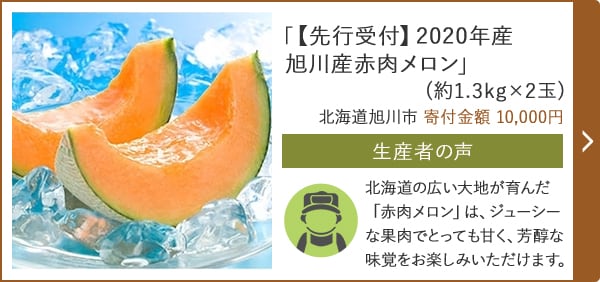 「【先行受付】2020年産 旭川産赤肉メロン」(約1.3kg×2玉) 北海道旭川市 寄付金額 10,000円