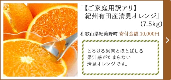 「【ご家庭用訳アリ】 紀州有田産清見オレンジ」 (7.5kg) 和歌山県紀美野町 寄付金額 10,000円