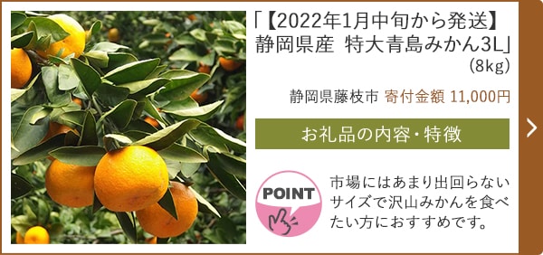 「【2022年1月中旬から発送】静岡県産 特大青島みかん3L」(8kg)/静岡県藤枝市（寄付金額 11,000円）