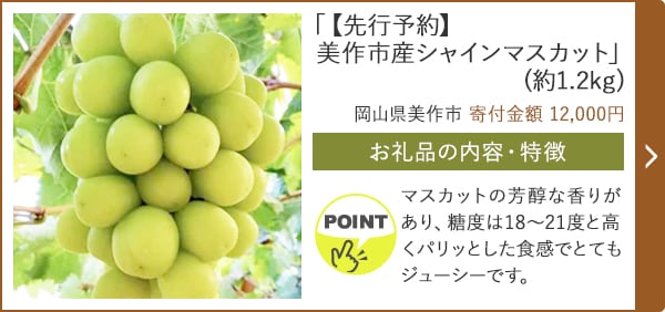 「【先行予約】美作市産シャインマスカット」(約1.2kg)/岡山県美作市（寄付金額 12,000円）