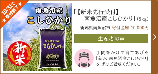 ★10/31で受付終了★「【新米先行受付】南魚沼産こしひかり」(5kg)/新潟県南魚沼市（寄付金額 10,000円）