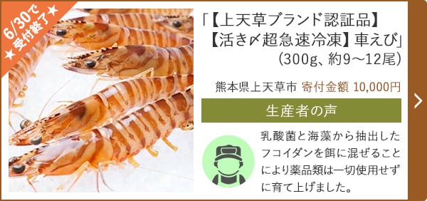 「【上天草ブランド認証品】【活き〆超急速冷凍】車えび」(300g、約9～12尾)/熊本県上天草市 寄付金額 10,000円