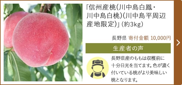 「信州産桃(川中島白鳳・川中島白桃)(川中島平周辺産地限定)」(約3kg) 長野県 寄付金額 10,000円