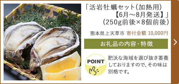 「活岩牡蠣セット(加熱用)【6月～8月発送】」(250g前後×8個前後)/熊本県上天草市（寄付金額 10,000円）