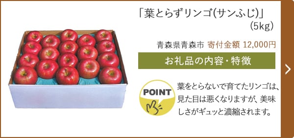 「葉とらずリンゴ(サンふじ)」(5kg)/青森県青森市 寄付金額 12,000円