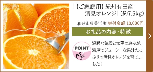 「【ご家庭用】紀州有田産清見オレンジ」(約7.5kg)/和歌山県美浜町（寄付金額 10,000円）