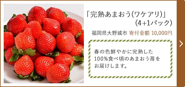 「完熟あまおう(ワケアリ)」 (4+1パック) 福岡県大野城市 寄付金額 10,000円