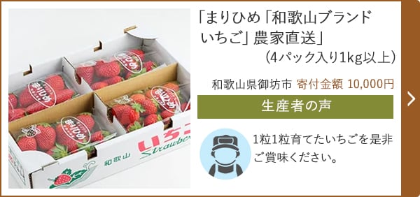 「まりひめ「和歌山ブランドいちご」農家直送」(4パック入り1kg以上)/和歌山県御坊市 寄付金額 10,000円