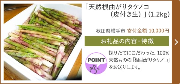 「天然根曲がりタケノコ(皮付き生) 」(1.2kg)/秋田県横手市（寄付金額 10,000円）