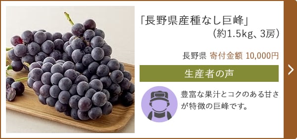 「長野県産種なし巨峰」(約1.5kg、3房)/長野県 寄付金額 10,000円