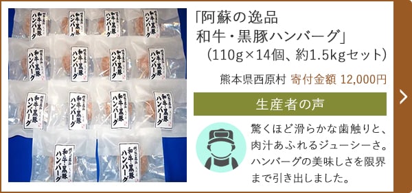 「阿蘇の逸品 和牛・黒豚ハンバーグ」(110g×14個、約1.5kgセット)/熊本県西原村 寄付金額 12,000円