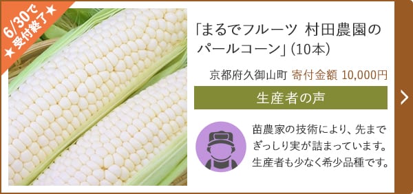 「まるでフルーツ 村田農園のパールコーン」(10本)/京都府久御山町 寄付金額 10,000円