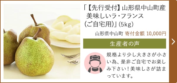「【先行受付】山形県中山町産 美味しいラ・フランス(ご自宅用)」(5kg)/山形県中山町 寄付金額 10,000円