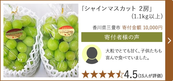 「シャインマスカット 2房」(1.1kg以上)/香川県三豊市 寄付金額 10,000円