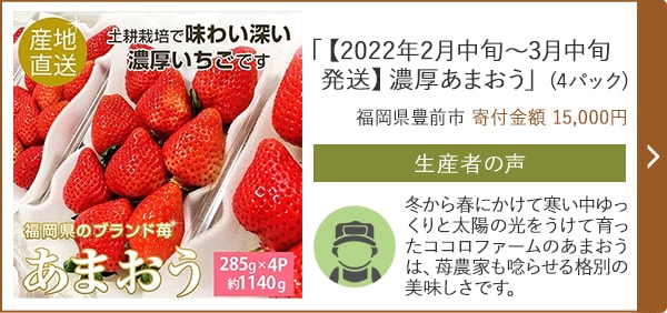 「【2022年2月中旬～3月中旬発送】濃厚あまおう」(4パック)/福岡県豊前市（寄付金額 15,000円）
