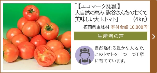 「【エコマーク認証】大自然の恵み 熊谷さんちの甘くて美味しい大玉トマト」(4kg)/福岡県東峰村（寄付金額 10,000円）