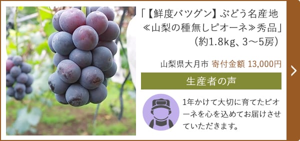 「【鮮度バツグン】ぶどう名産地≪山梨の種無しピオーネ≫秀品」(約1.8kg、3～5房)/山梨県大月市 寄付金額 13,000円