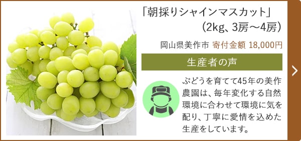 「朝採りシャインマスカット」(2kg、3房～4房)/岡山県美作市（寄付金額 18,000円）