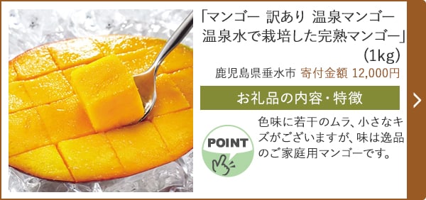 「マンゴー 訳あり 温泉マンゴー温泉水で栽培した完熟マンゴー」(1kg)/鹿児島県垂水市（寄付金額 12,000円）