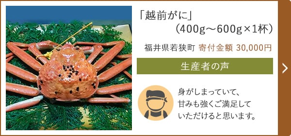 「越前がに」（400g～600g×1杯） 福井県若狭町 寄付金額 30,000円