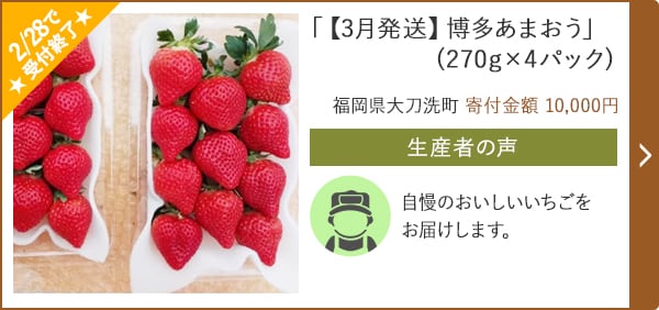 【3月発送】博多あまおう」(270g×4パック)/福岡県大刀洗町（寄付金額 10,000円）