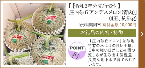 「【令和3年分先行受付】庄内砂丘アンデスメロン(青肉)」(4玉、約5kg)/山形県鶴岡市（寄付金額 10,000円）
