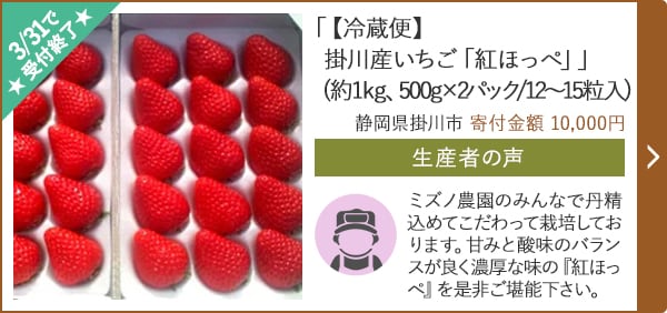 ★3/31で受付終了★「【冷蔵便】掛川産いちご「紅ほっぺ」」(約1kg、500g×2パック/12～15粒入)/静岡県掛川市（寄付金額 10,000円）