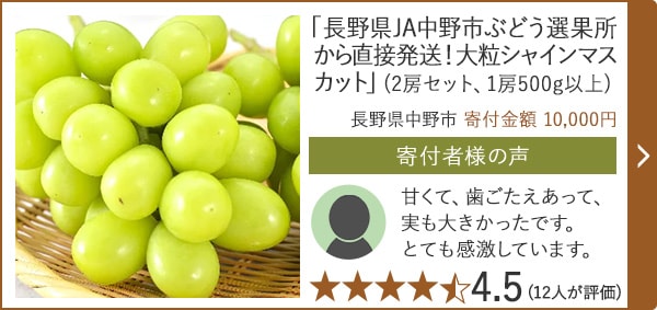 【★評価４．５(１２人が評価)】「シャインマスカット」(2房セット、1房500g以上)/長野県中野市（寄付金額 10,000円）