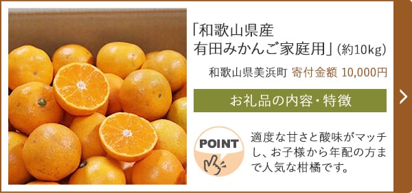 「和歌山県産 有田みかん ご家庭用」(約10kg)/和歌山県美浜町（寄付金額 10,000円）