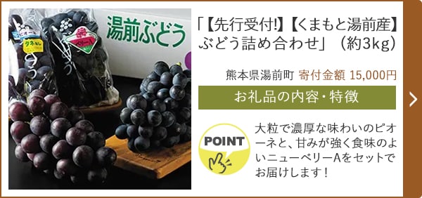 「【先行受付!】【くまもと湯前産】ぶどう詰め合わせ」(約3kg)/熊本県湯前町（寄付金額 15,000円）