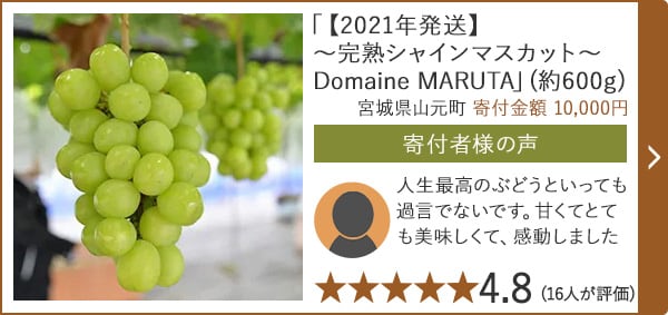 【★４．８(１６人が評価)】「【2021年発送】?完熟シャインマスカット?Domaine MARUTA」(約600g)/宮城県山元町寄付金額 （寄付金額 10,000円）