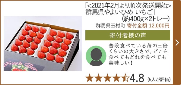 【★評価４．８(５人が評価)】「<2021年2月より順次発送開始>群馬県やよいひめ いちご」(約400g×2トレー)/群馬県玉村町 寄付金額 12,000円