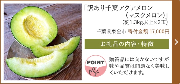 「訳あり千葉アクアメロン(マスクメロン)」(約1.3kg以上×2玉)/千葉県東金市（寄付金額 17,000円）