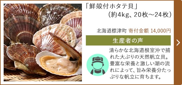「鮮殻付ホタテ貝」(約4kg、20枚～24枚)/北海道標津町 寄付金額 14,000円