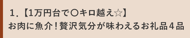 １．【1万円台で〇キロ越え☆】お肉に魚介！贅沢気分が味わえるお礼品４品 