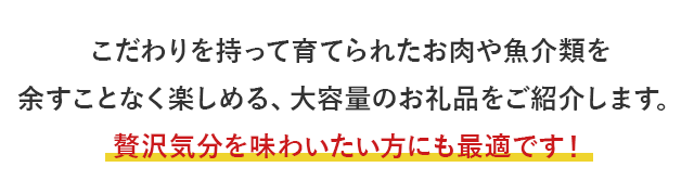 こだわりを持って育てられたお肉や魚介類を余すことなく楽しめる、大容量のお礼品をご紹介します。贅沢気分を味わいたい方にも最適です！