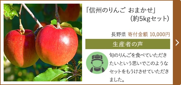 「信州のりんご おまかせ」(約5kgセット)/長野県 寄付金額 10,000円