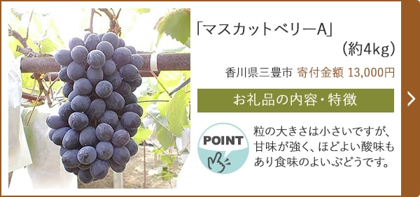 「マスカットベリーA」(約4kg)/香川県三豊市（寄付金額 13,000円）