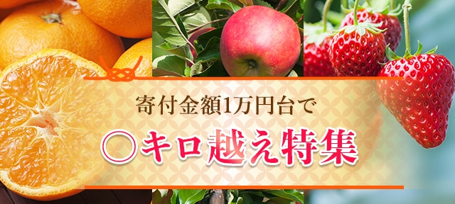 寄付金額1万円台で〇キロ越え特集