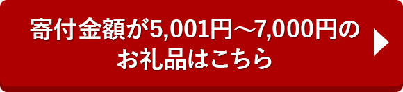 寄付金額が5,001円～7,000円のお礼品はこちら